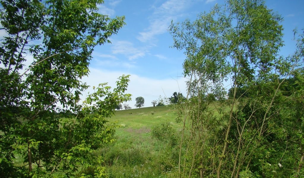  urbariát Drienovec 12
