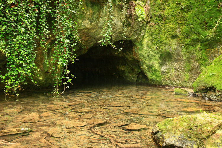  urbariát Drienovec 19
