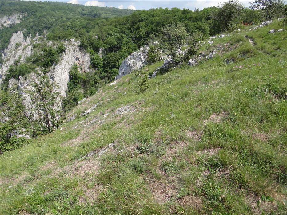 urbariát Drienovec 4