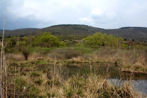  urbariát Drienovec 6